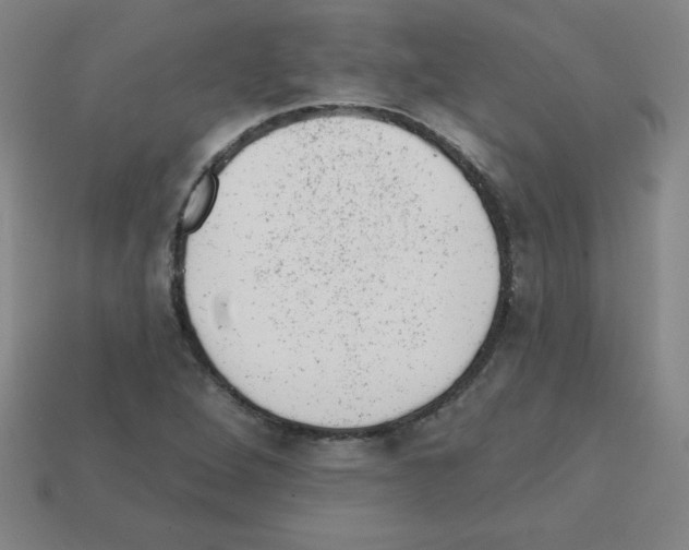 X0000111941264200909071252