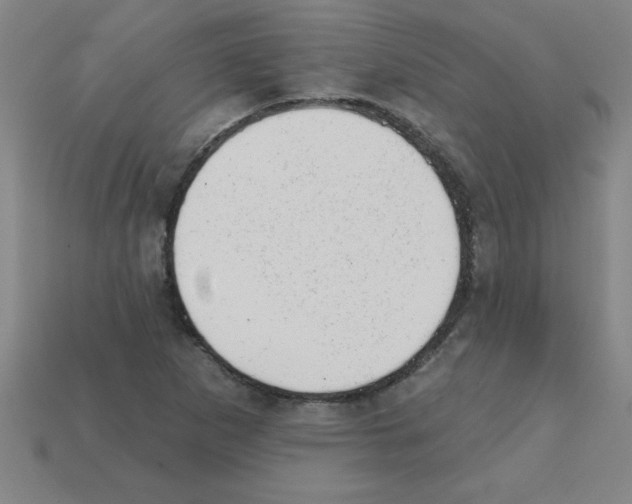 X0000111941265200909071252