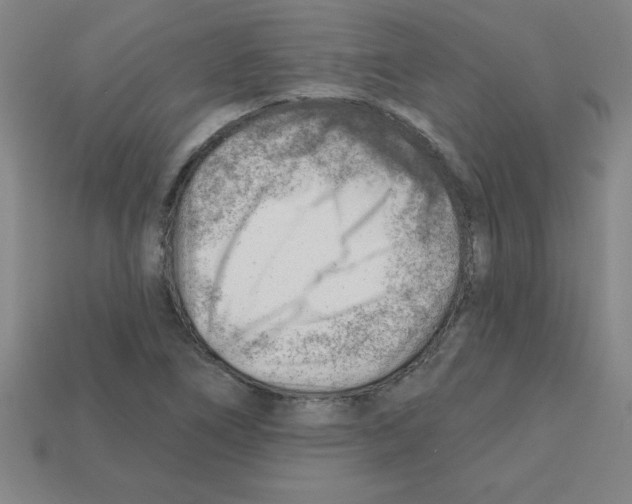 X0000111941266200909071252