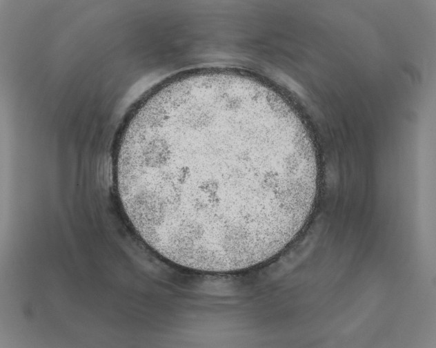 X0000111941267200909071252