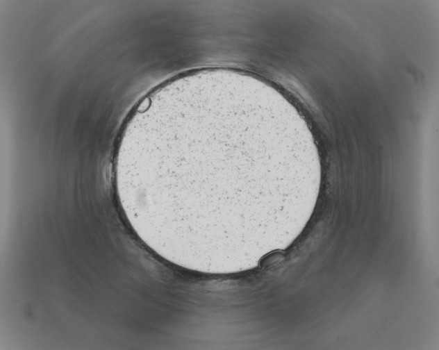 X0000111941268200909071252