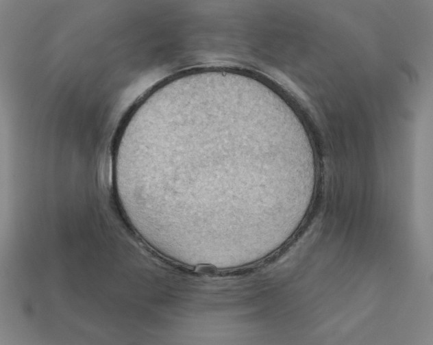 X0000111941269200909071252