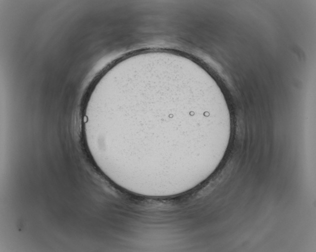 X0000111941270200909071252