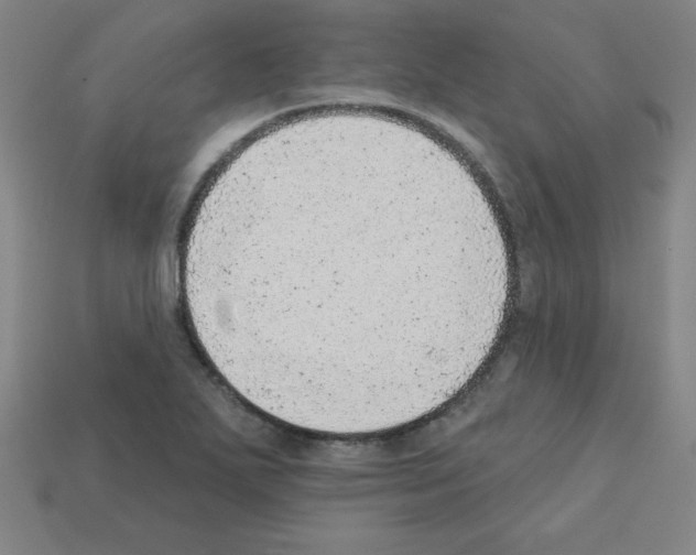X0000111941271200909071252