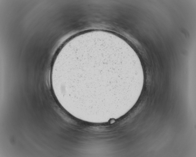 X0000111941272200909071252