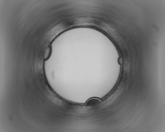 X0000111941273200909071252