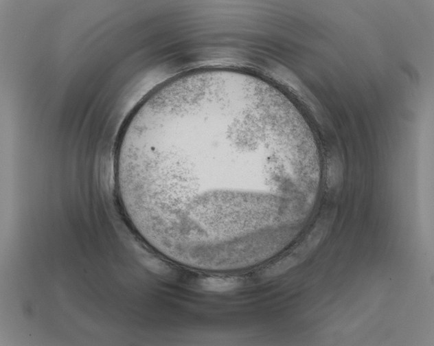 X0000111941274200909071252