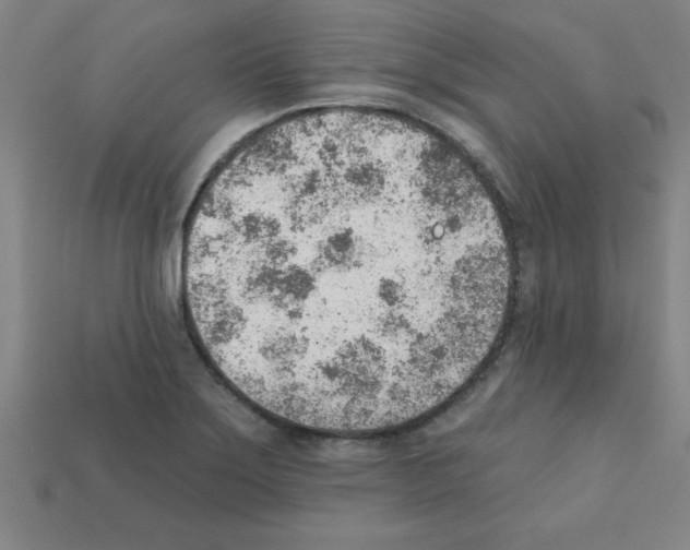 X0000111941275200909071252