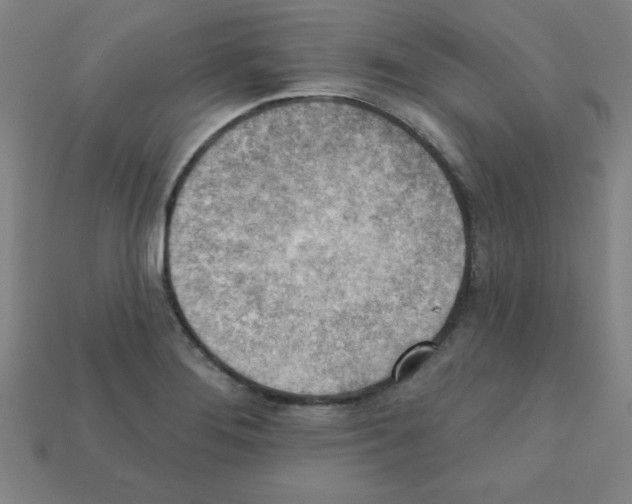 X0000111941276200909071252