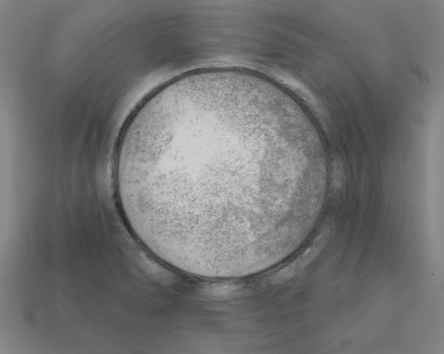 X0000111941278200909071252