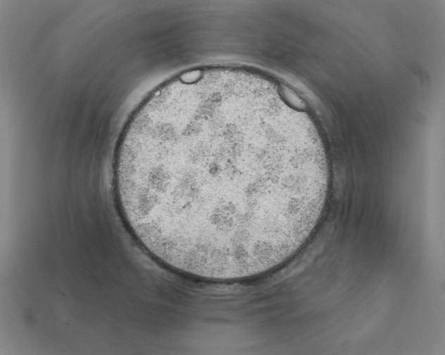 X0000111941279200909071252