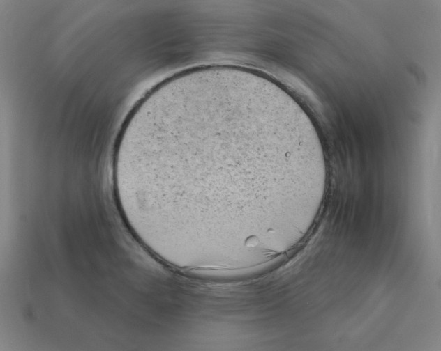 X0000111941280200909071252