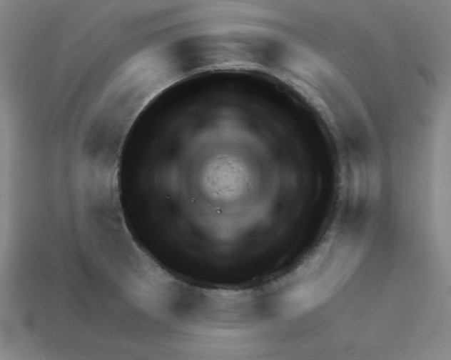 X0000111941281200909071252