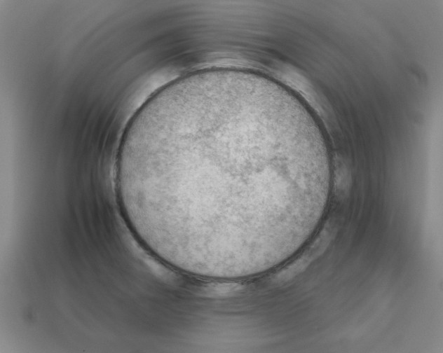 X0000111941282200909071252