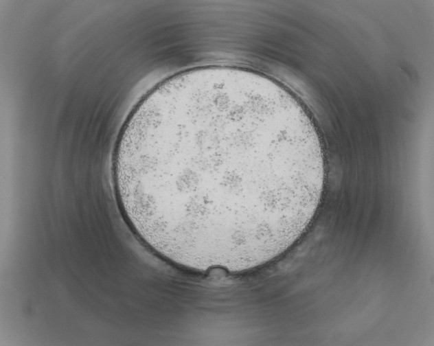 X0000111941283200909071252
