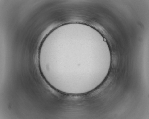 X0000111941286200909071252