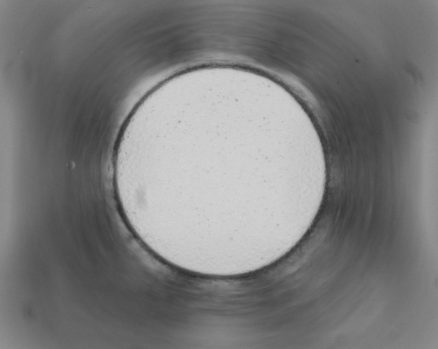 X0000111941287200909071252