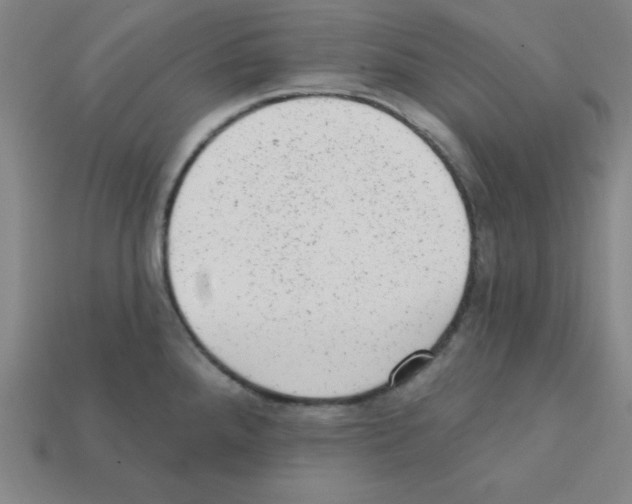 X0000111941288200909071252