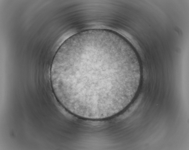 X0000111941289200909071252