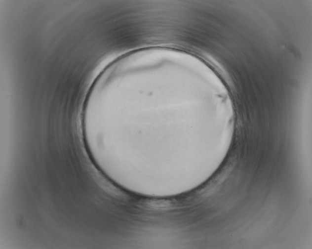 X0000111941291200909071252