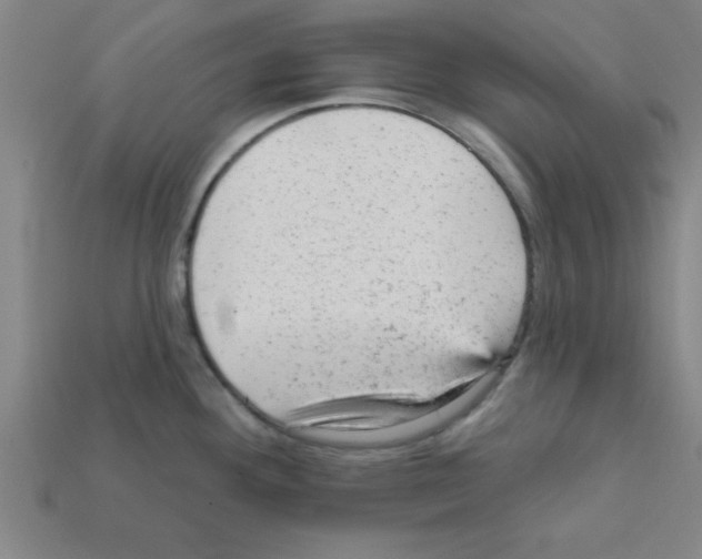 X0000111941292200909071252