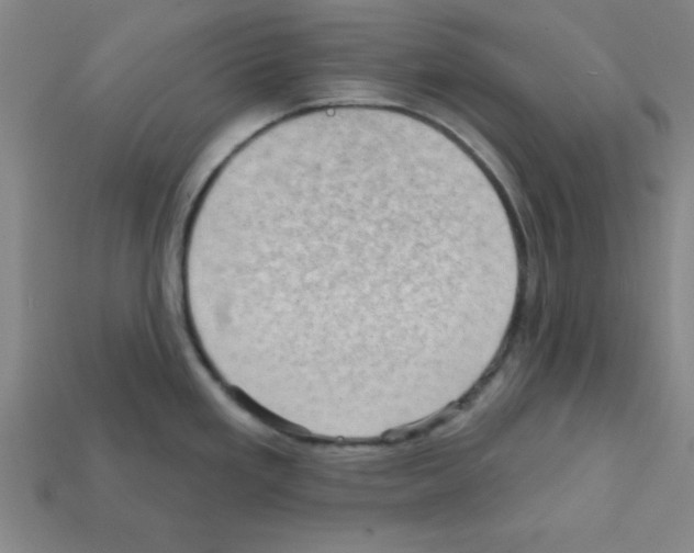 X0000111941293200909071252
