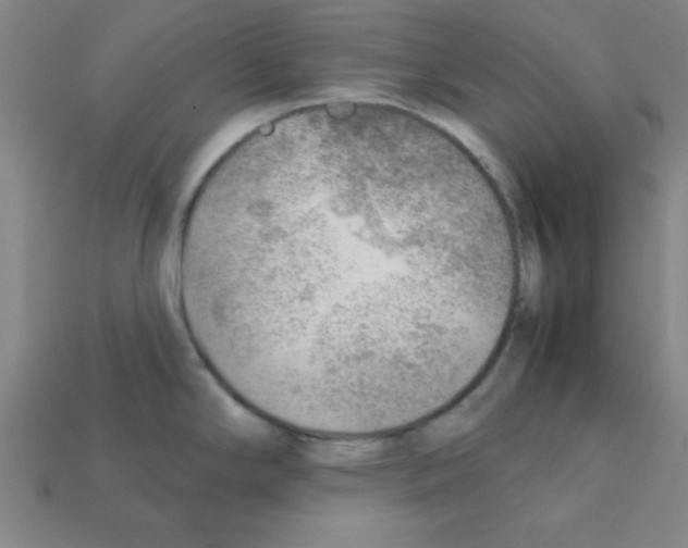 X0000111941294200909071252