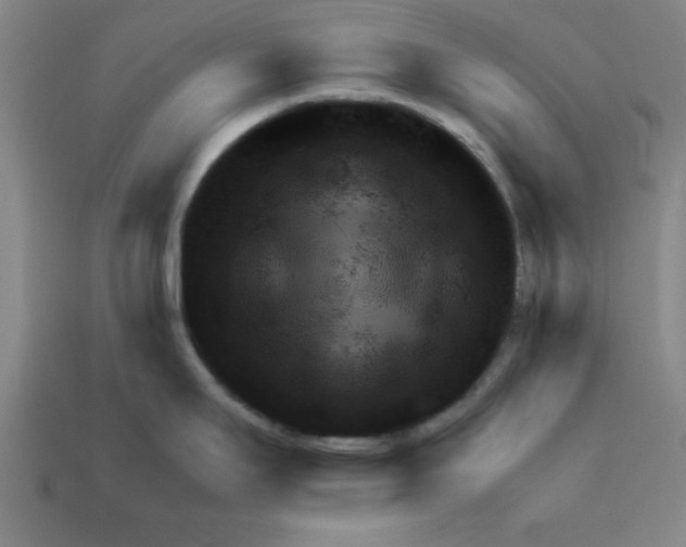 X0000111941295200909071252