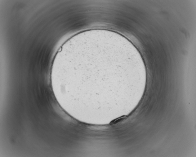 X0000111941296200909071251
