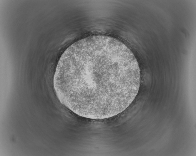 X0000111941297200909071251