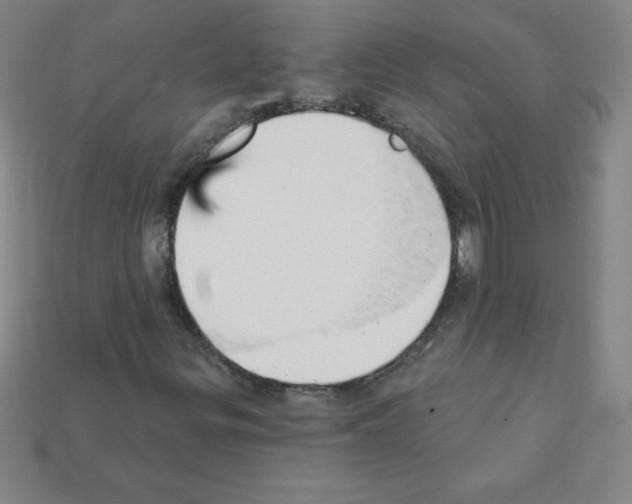 X0000111941299200909071251
