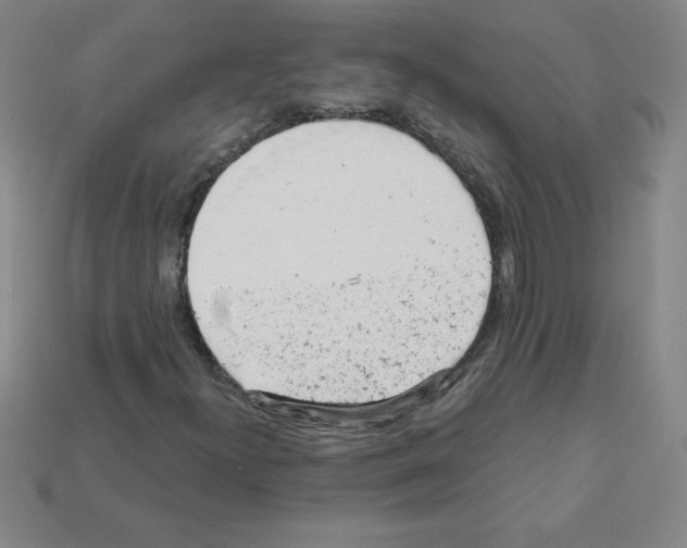 X0000111941300200909071251