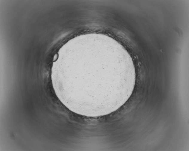 X0000111941302200909071251