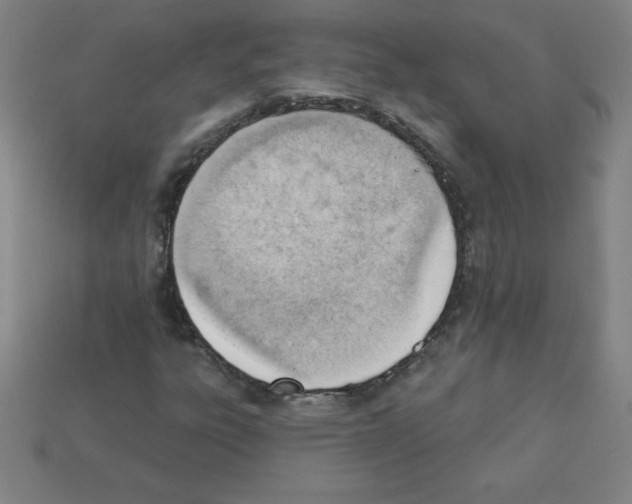 X0000111941303200909071251