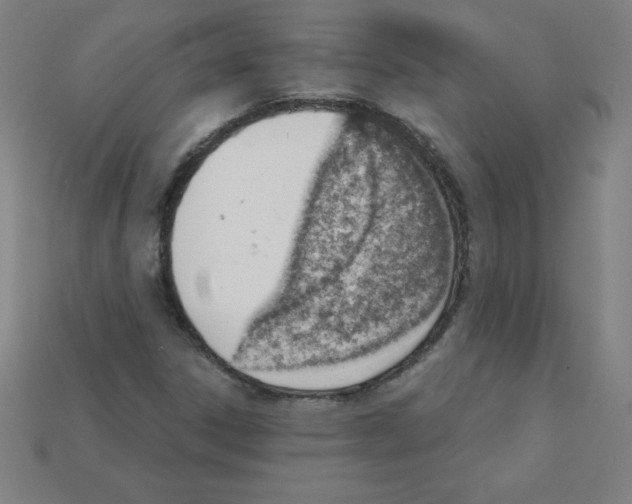 X0000111941306200909071251