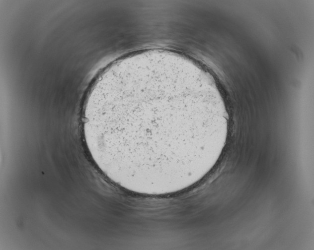 X0000111941308200909071251