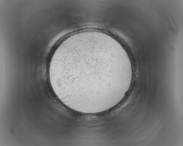 X0000111941310200909071251