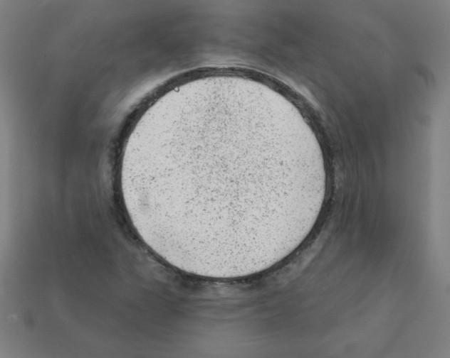X0000111941311200909071251
