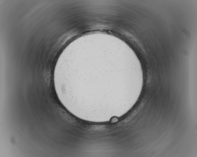 X0000111941313200909071251