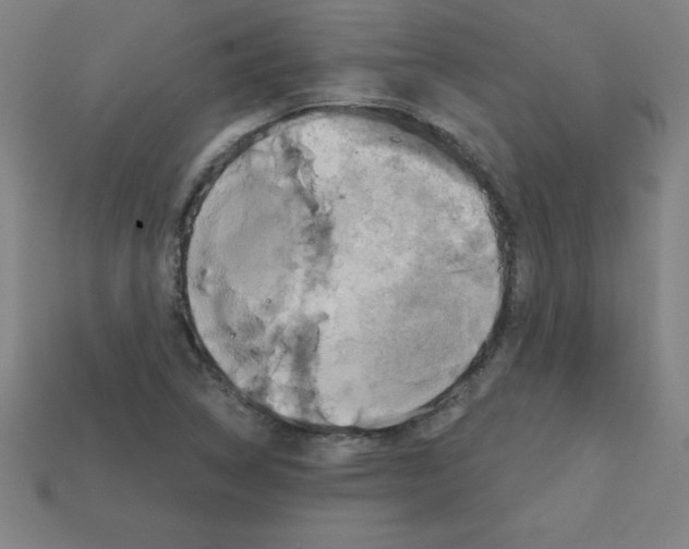 X0000111941314200909071251