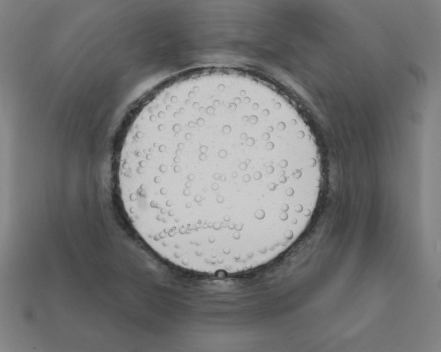 X0000111941315200909071251