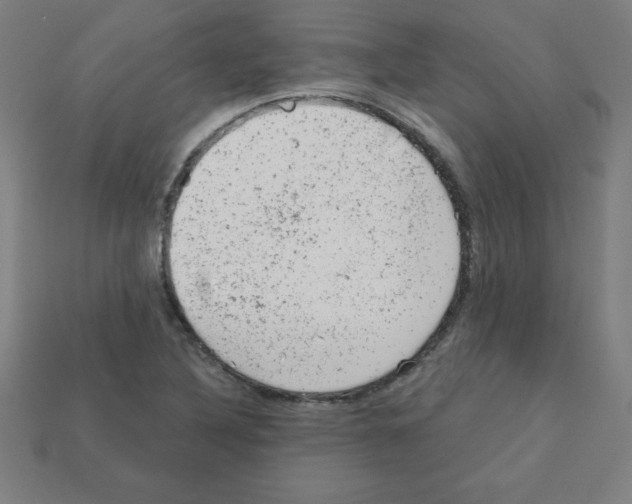 X0000111941316200909071251