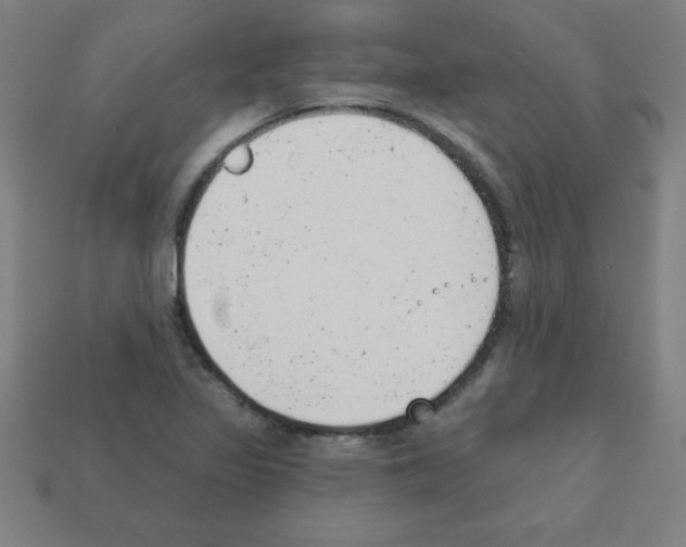 X0000111941317200909071251