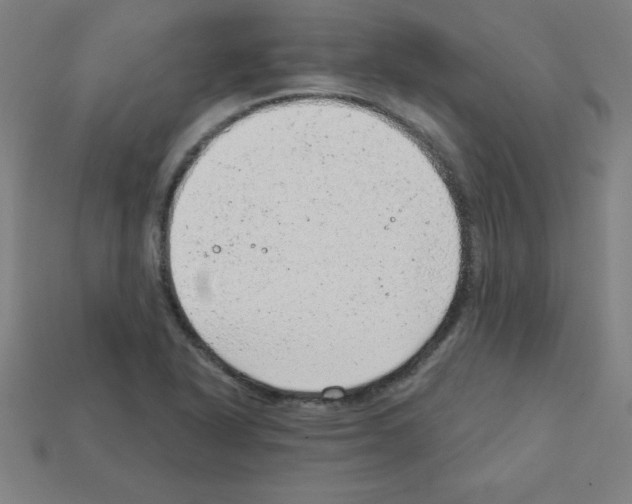 X0000111941318200909071251