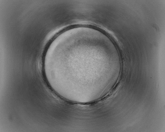 X0000111941319200909071251