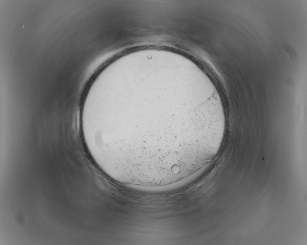 X0000111941320200909071251