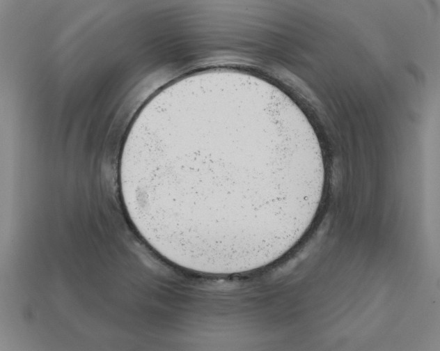 X0000111941321200909071251