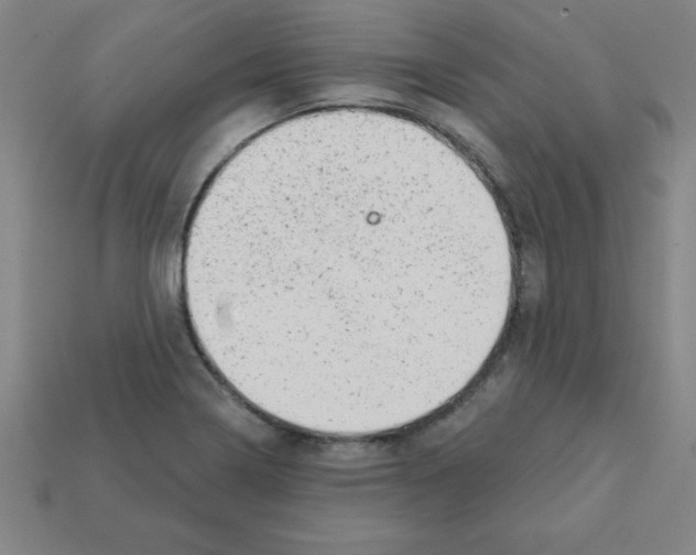 X0000111941322200909071251