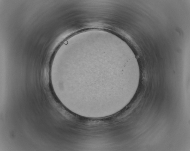 X0000111941323200909071251