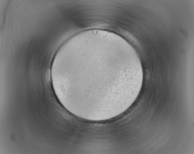 X0000111941324200909071251